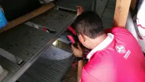 5 great reasons to consider pest control services