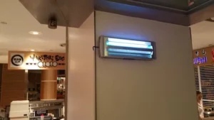 Five best way to prevent pest infestation in a restaurant