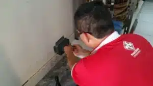Helpful tips on choosing the best pest control company