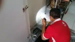 A guide on the many type of pest control