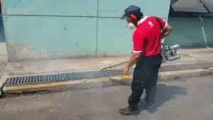 Important things t know befor hiring pest control services