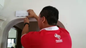 Control pest infestation in your home with these measures