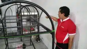 Pest control services an essential for commercial houses