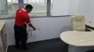 Tips to help you in fighting pest infestations