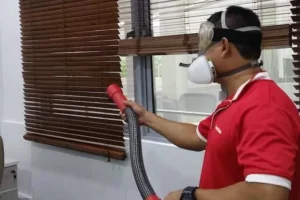 4 reason why fumigation is essential to your office home