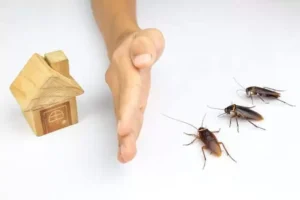 4 important factors in ensuring a pest free apartment