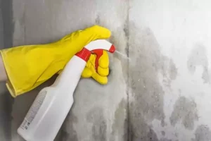 A step by step process to follow when fumigating a kitchen