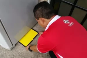 5 measures to implement today to enjoy a pest free home