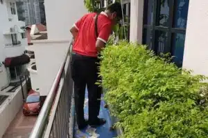 Reasons why you should never skip regular pest control