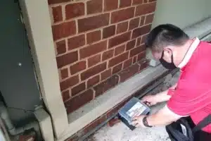 Ways to address a rodent infestation in your property