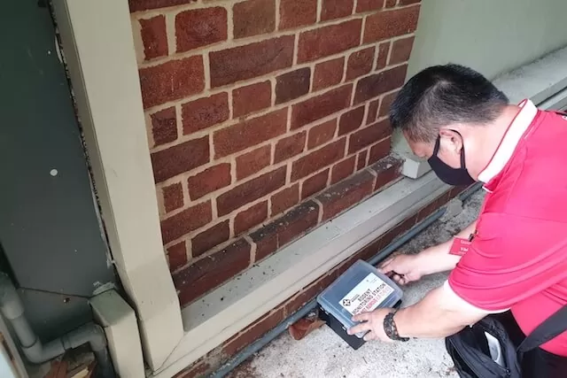 ways-to-address-a-rodent-infestation-in-your-property