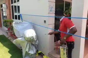 Various approaches to dealing with a pest problem at home