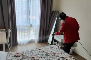 Importance of hiring pest control experts for your home
