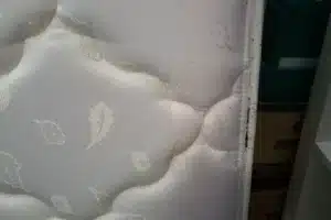 3 practical tips to eliminate bed bugs from your bedroom