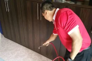 Your comprehensive guide to pest control in singapore
