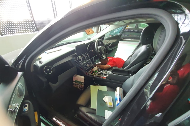 Pest Control, Pest Control Services