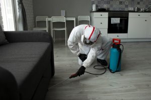 A Guide To Preparing Your Home For Pest Control Services