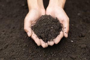 Why Soil Treatment Is A Crucial Pre-Construction Measure