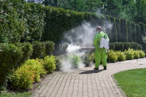 Mosquito Infestation: The Dangers Of Leaving Them Unchecked