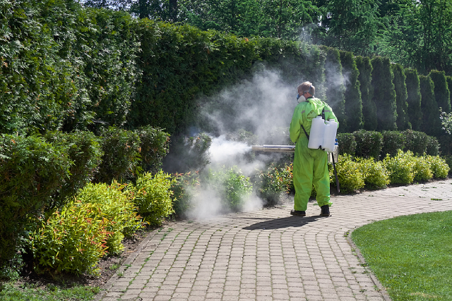 Mosquito Infestation: The Dangers Of Leaving Them Unchecked