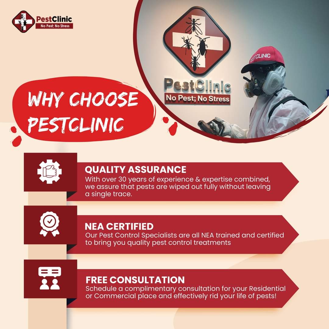 Pest Control Services In Singapore