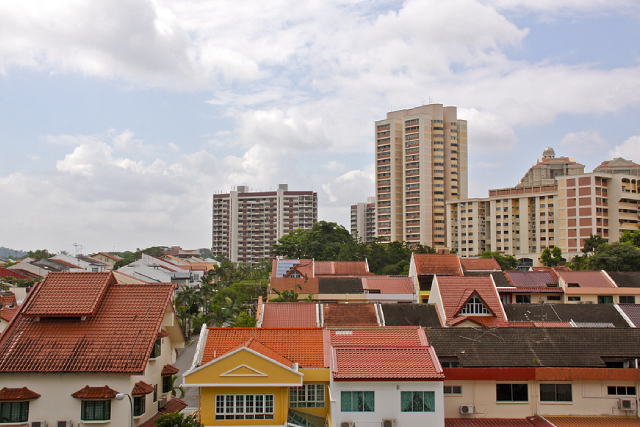 5 Scary Ways Pests Can Damage Your Roof And Cost You Money