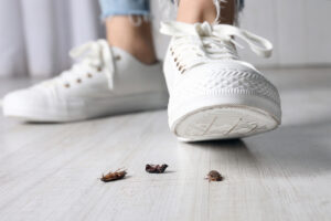 Why Stepping On A Cockroach Is A Bad Way To Eliminate It