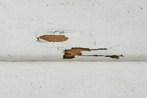 Top 4 Reasons Why Termites Are Not Favoured In Homes