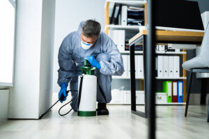 Termite Control: What Affects Termite Treatment Cost In SG?