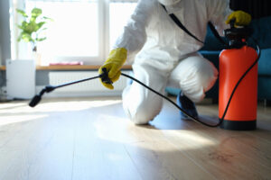Professional Pest Control And What To Expect In The Service