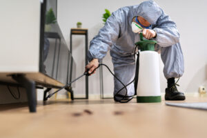 How Early Pest Control Helps You Save More In The Long Run