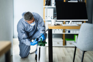 The Most Common Office Pests And How To Deal With Them