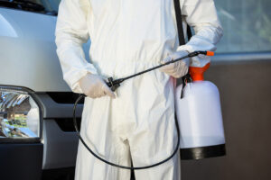 Pest Control: How To Check If You're Getting What You Paid For