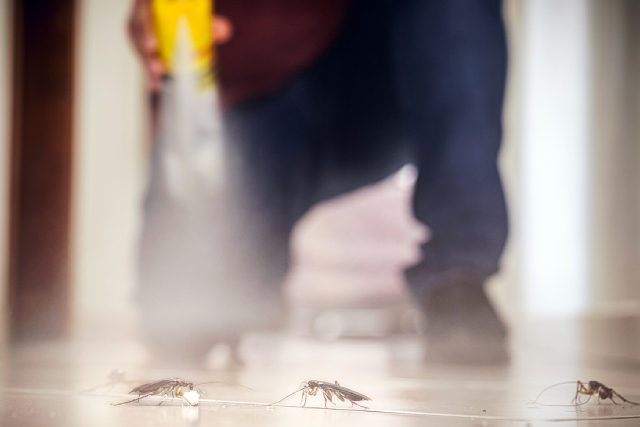 How You Can Cockroach-Proof Your In-Home Rubbish Chute