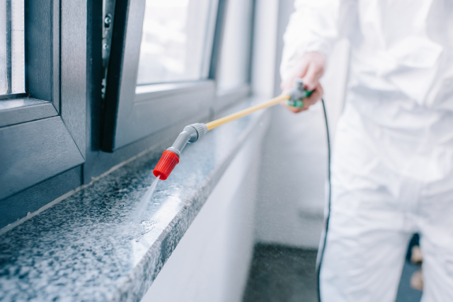 A Guide To Integrated Pest Management And Why It’s A Must