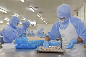 Dealing With Pest Infestations In Food Processing Facilities