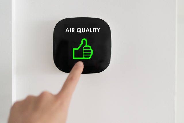 The Impact Of Pests On Indoor Air Quality & What You Can Do