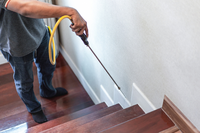 Homeowners' Guide: Common Pest Control Blunders To Avoid