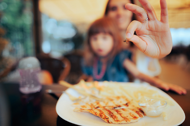 How To Effectively Shield Your Business From Pest Shutdowns