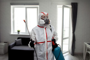 Pest Control And How It Helps Maintain Your Property’s Value