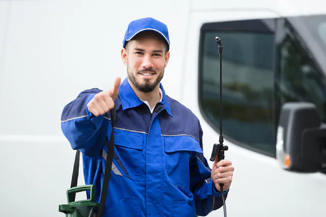 Why Pest Control Is Integral To Commercial Cleaning Routines