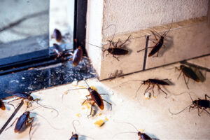 Neighbourly Troubles: How To Deal With Pests From Next Door