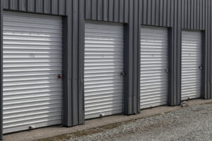 Why Staying Pest-Free Is Key To The Success Of Self-Storage
