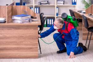 Bed Bugs In The Workplace: Everything You Need To Know