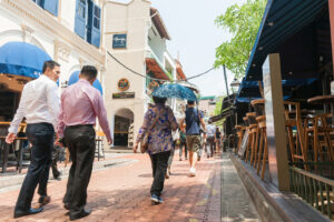 Different Ways Weather Affects Pest Activity In Singapore