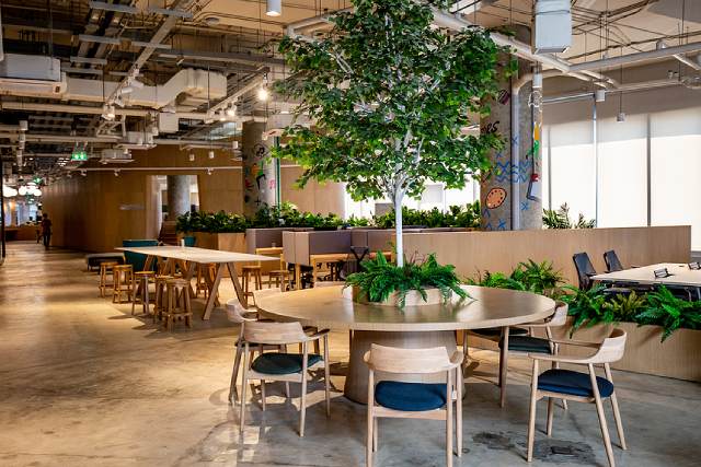 Pest Hazard: Why Co-Working Spaces Need Serious Pest Management