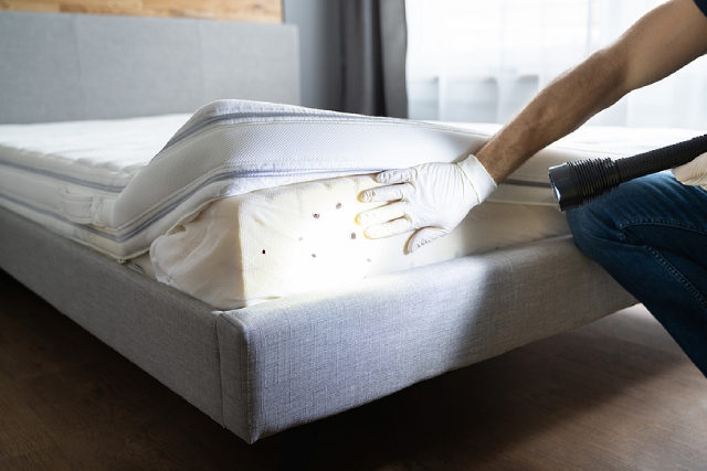 Bed Bug Prevention Tips Every Property Manager Needs