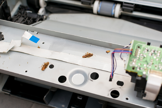 How Pests Quietly Destroy Your Everyday Electronics