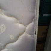 Bb3