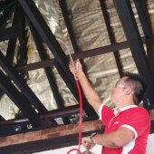 Roof treatment 5